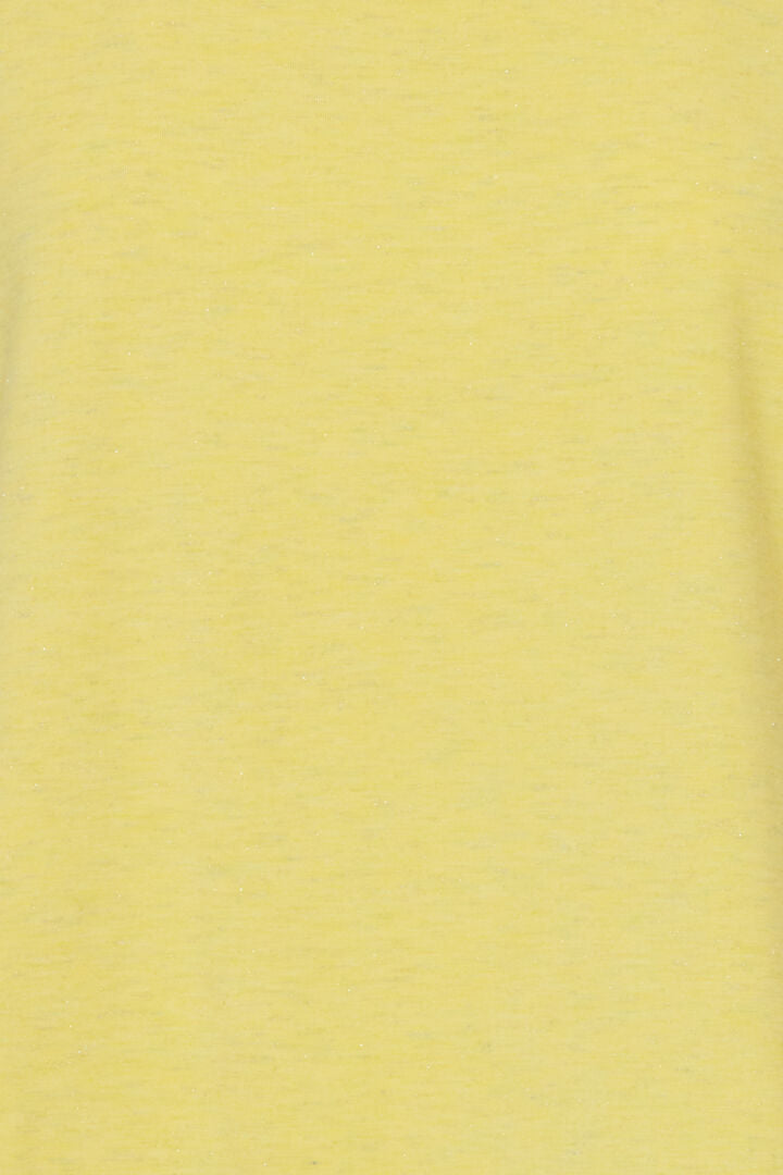 ICHI Rebel T-shirt med glimmer IHREBEL -Goldfinch